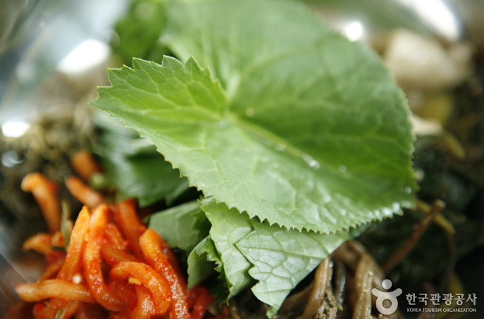 곰취, 효능이 뛰어난 항산화 식재료, 삼겹살과 잘 어울리는 음식이다